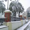 Paseo viejo - nevda 2007.12.29